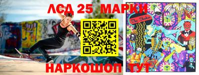 spice Гатчина