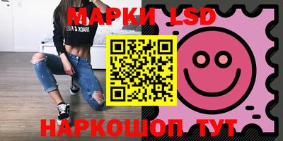 spice Гатчина