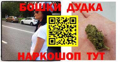 прущие крисы Гай