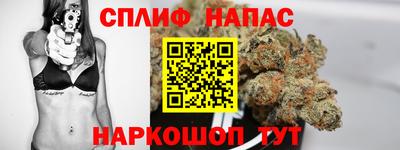 spice Гатчина