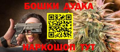 прущие крисы Гай