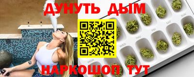spice Гатчина