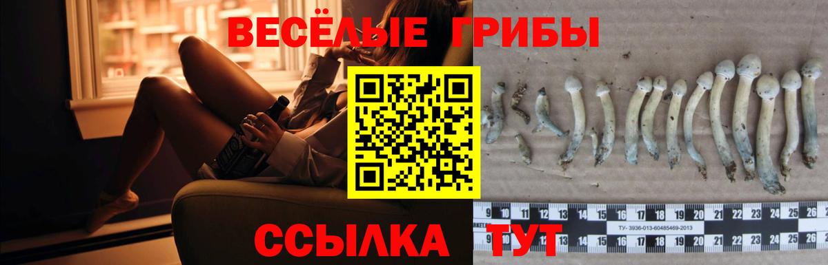 Галлюциногенные грибы мухоморы  Вход с VPN  Галлюциногенные грибы Psilocybine cubensis  Малгобек 